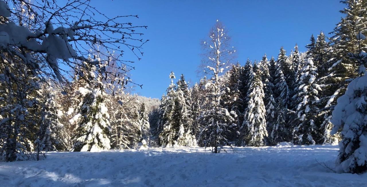 Le Batelier Du Lac Gérardmer Buitenkant foto