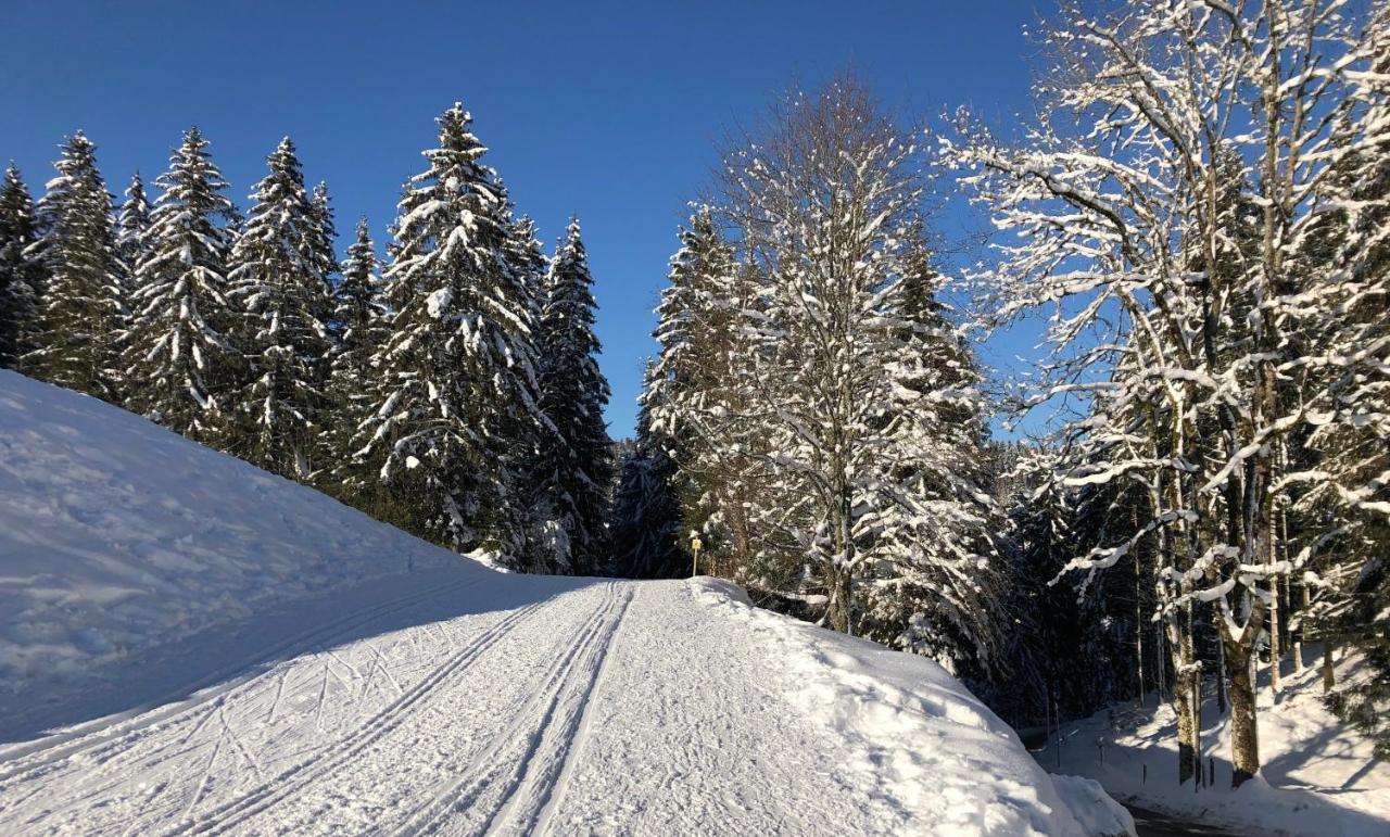 Le Batelier Du Lac Gérardmer Buitenkant foto